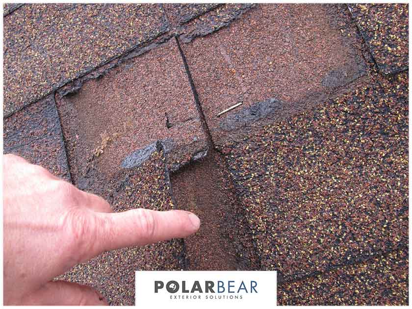 Natural Elements that Can Harm Your Roofing System